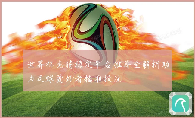 世界杯竞猜稳定平台推荐全解析助力足球爱好者精准投注