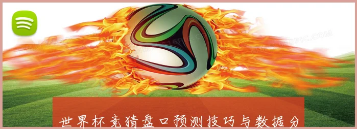 世界杯竞猜盘口预测技巧与数据分析全面指南助你提高胜率稳定盈利